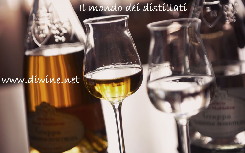 Il mondo dei Distillati