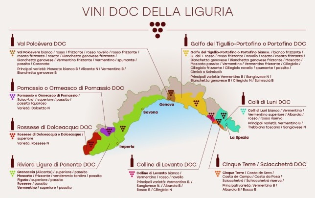 Vini doc della Liguria